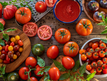 Découvrez la riche variété de tomates