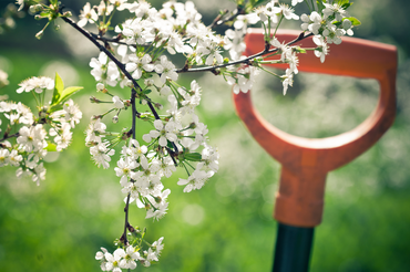 Le printemps arrive ! 15 conseils de jardinage pour le mois de mars !